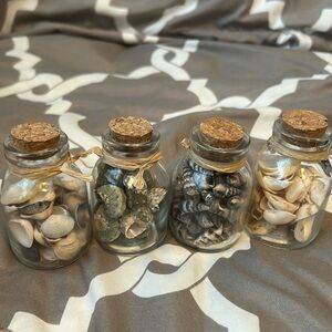 Beach decorative jar shells